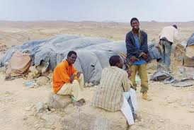 You are currently viewing Des migrants nigériens confinés à Boufarik aux portes d’Alger